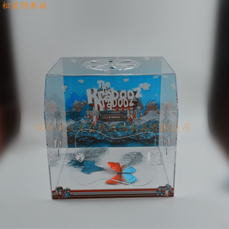 松鼠飼養(yǎng)箱